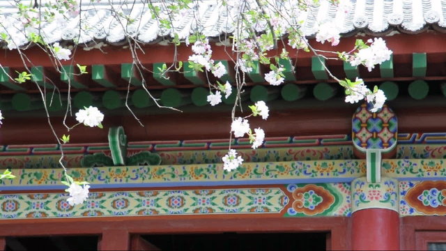 flower and chinese building