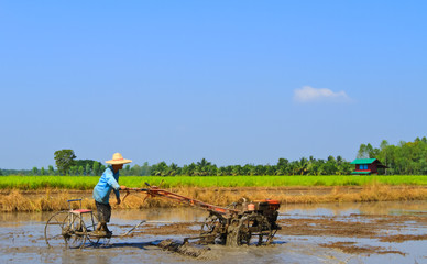 Farmer, Plowing to planting rice