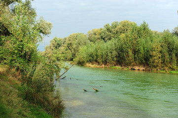 fiume brenta paesaggio 1330
