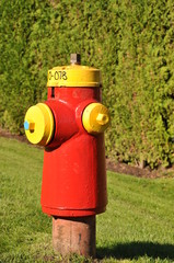 Fototapeta na wymiar Close-up fire hydrant