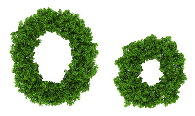 on top view tree forest high detail font