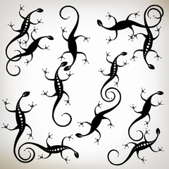 Obraz premium Lizard black silhouette, collection for your design