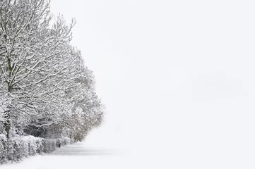 Crédence en verre imprimé Hiver Winter forest snow scene