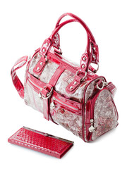 woman bag isolated on the white background