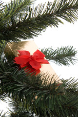 Fototapeta na wymiar Christmas gift on green xmas tree