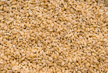 Pearl barley