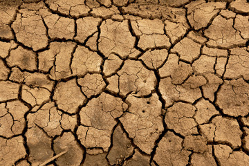 dry ground