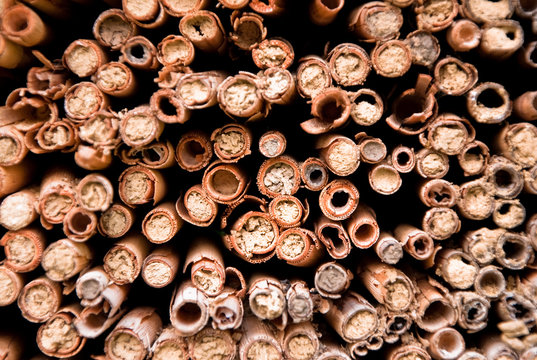 Insektenhotel, Detail