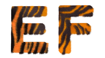 Tiger fell E and F letters isolated