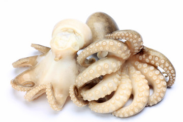 octopus which was boiled