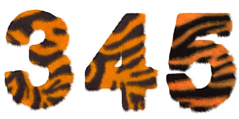 Tiger fell 3 4 and 5 figures isolated