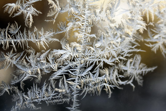 Frost pattern on a winter window