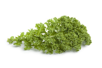 Single fresh green kale leaf at white background