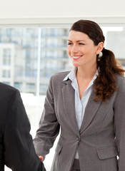 Obraz premium Businesswoman shaking hands with a businessman