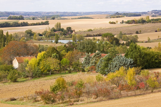 Autumn Landscape In Gascony SW France