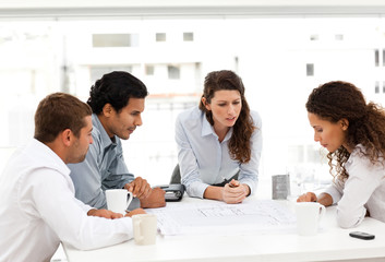 Four charismatic architects looking at plans together