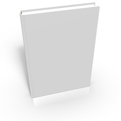 ebook vierge en perspective