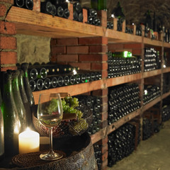 wine cellar, Czech Republic