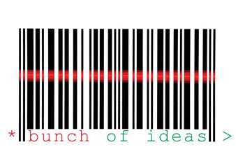 Scanning Bunch of Ideas Barcode Macro Closeup Isolated On White