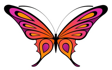 Obraz na płótnie Canvas Tropical butterfly are isolated on a white background.