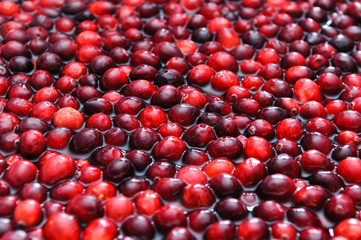 Cranberries floating