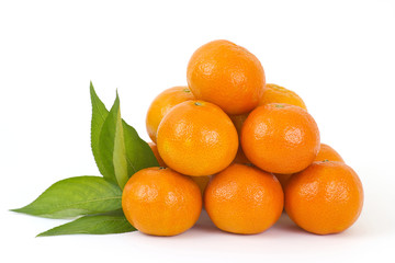 fresh tangerines