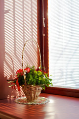 Sunny bouquet and window