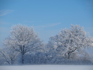 Winter in Ostholstein