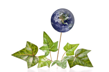 Environmentally Friendly