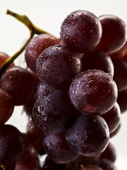 weintrauben