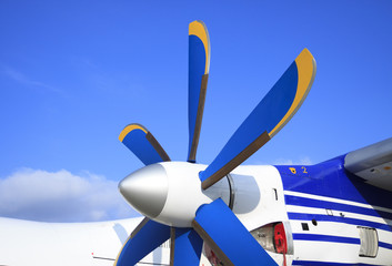 Wing with propeller of the passenger plane