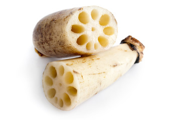 Lotus Roots