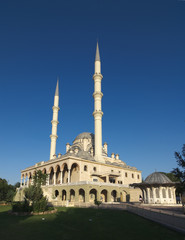 Fototapeta na wymiar Haci Veys Zade Mosque in Konya