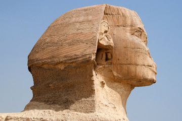Tête du Sphinx à Gizeh