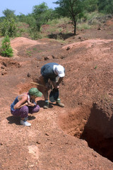 Détection aurifère