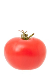 tomato isolated on white