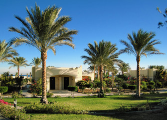 Fototapeta na wymiar Palmy i bungalowy w hotelu w Hurghada, Egipt
