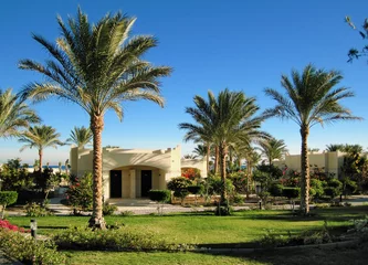 Rolgordijnen Palms and bungalow in hotel in Hurghada, Egypt © Mikhail Markovskiy