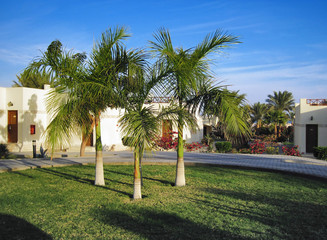 Palms and bungalow in hotel in Hurghada, Egypt