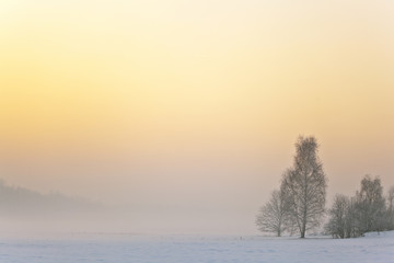 Zimowa łąka na wsi - obrazy, fototapety, plakaty