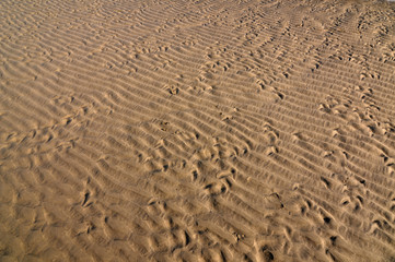 Sand background