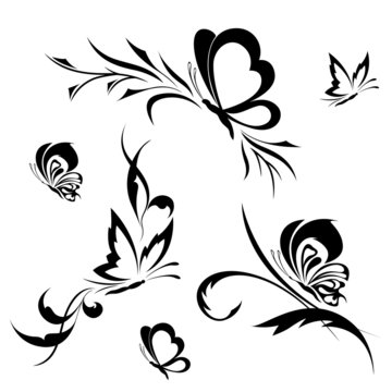 Butterflies with a flower pattern