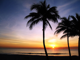 Obraz na płótnie Canvas Florida Sunset 2