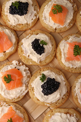 canapés, toast au saumon