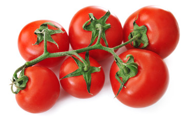 Tomatoes on white background