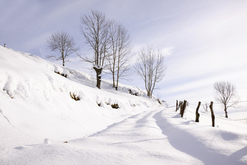 Paisaje de invierno