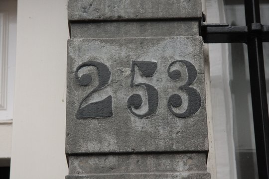 N&deg; 253