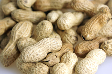 Erdnüsse