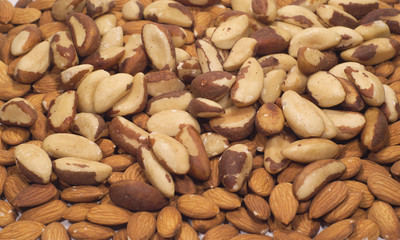 Many Almonds and Brasilian nuts as a background