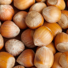 Hazelnuts